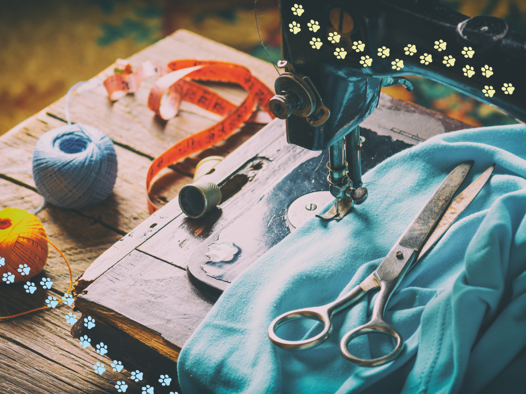 atelier de couture avec patte de chat