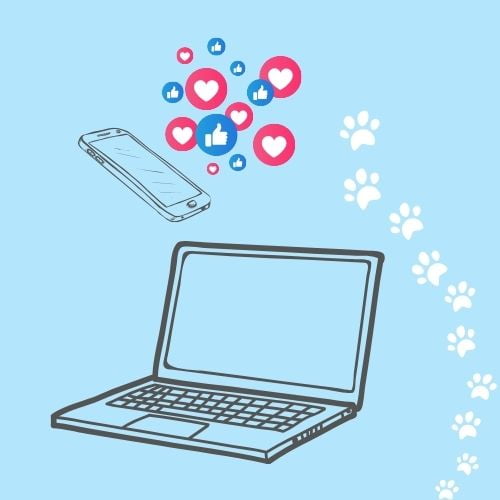 Formations et expériences en Marketing digital